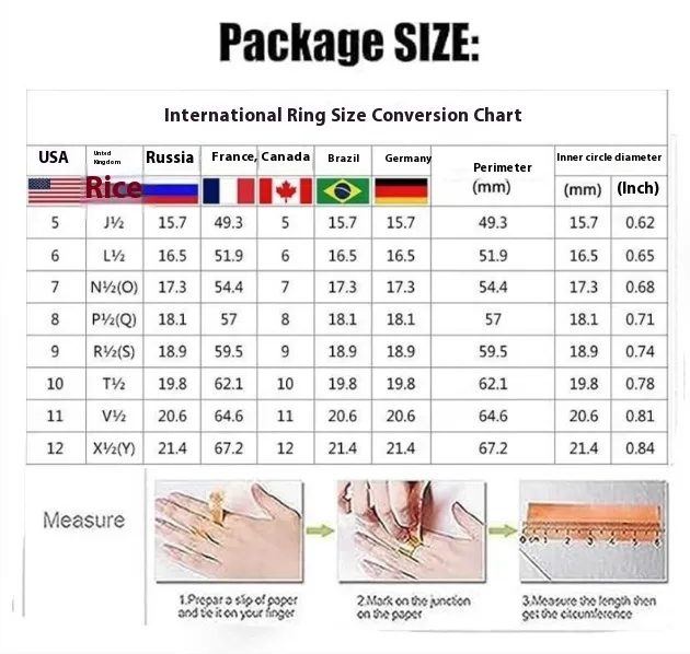 Elegant Geometric Zircon Inlay Stainless Steel Ring for Women size guide